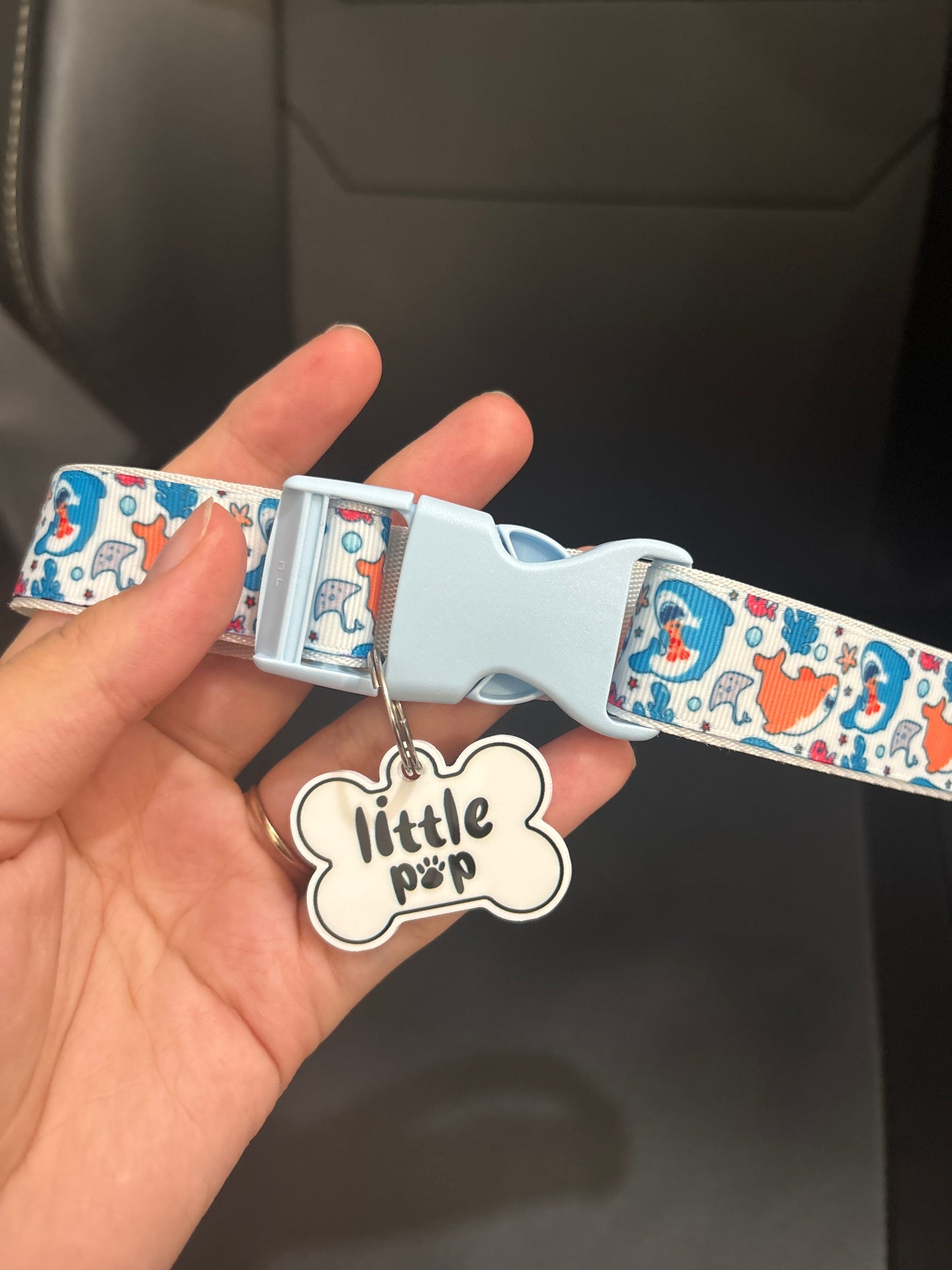New paci and collar tags