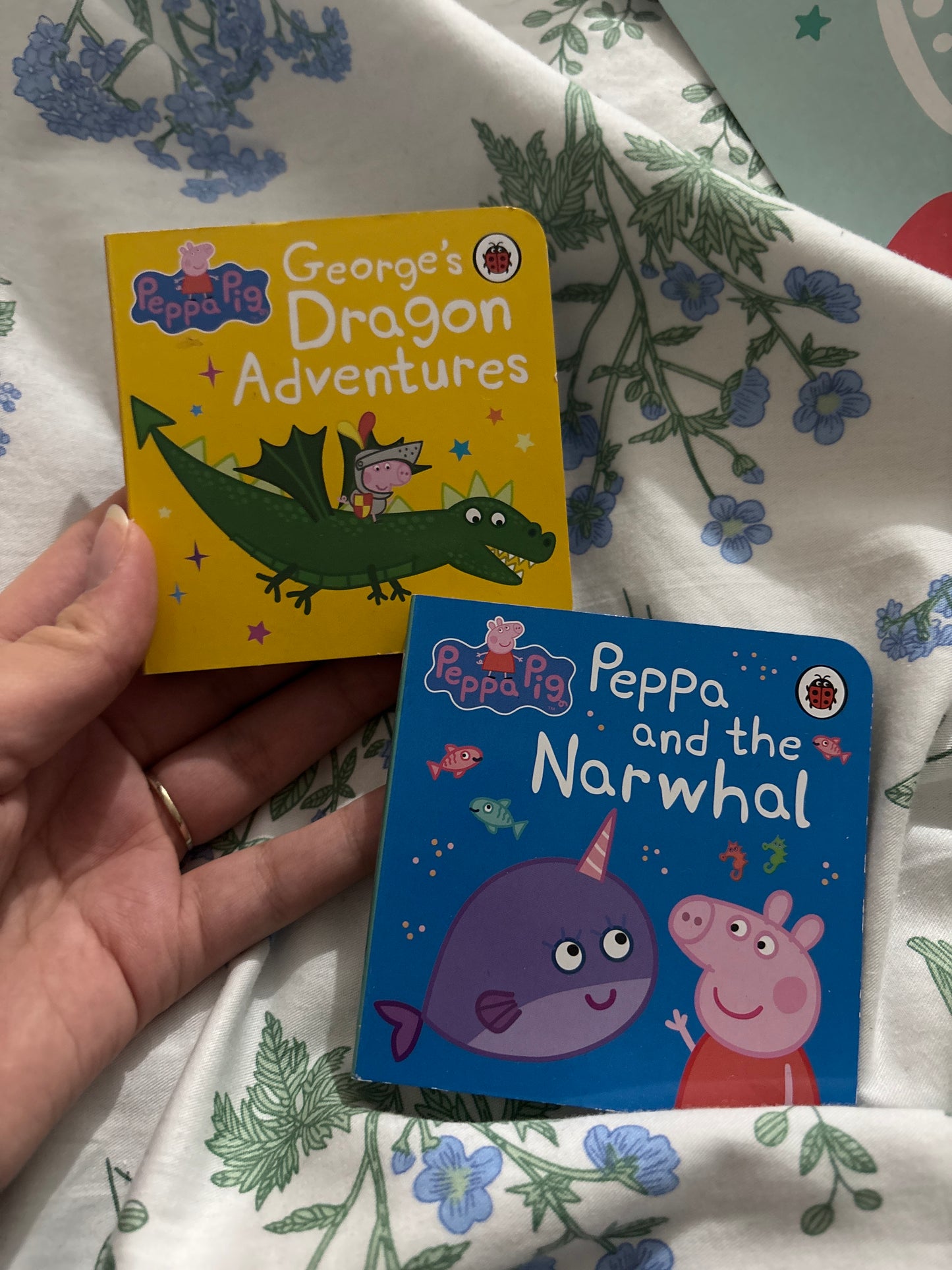 Peppa pig mini books set