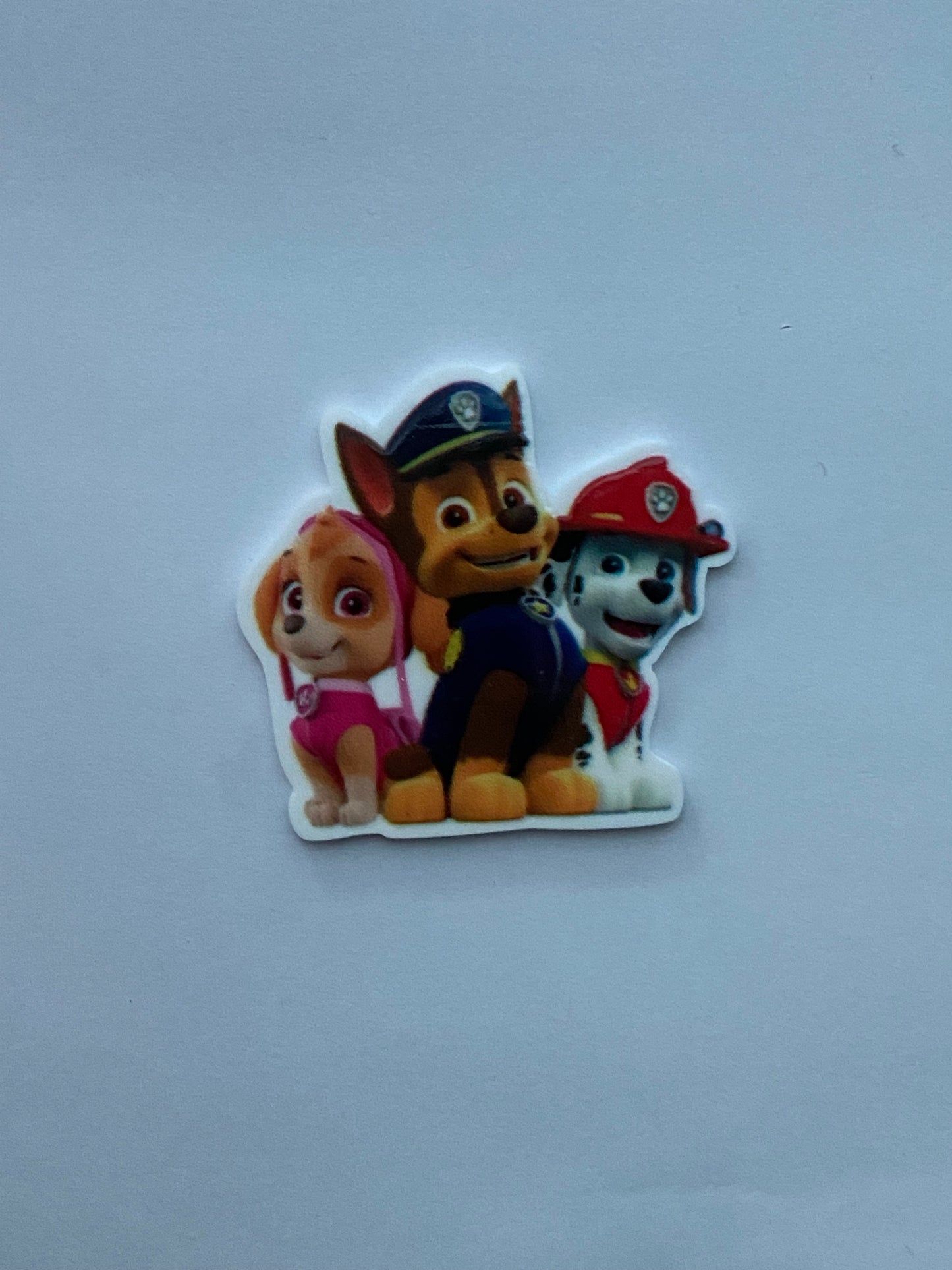 Paw patrol