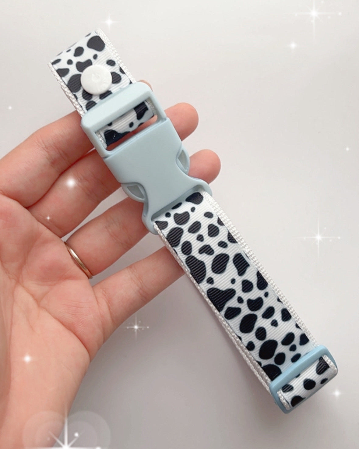 Dalmation puppy petre collar