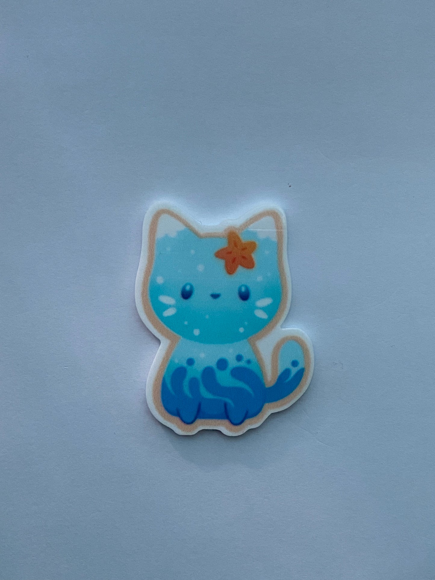 ocean cat